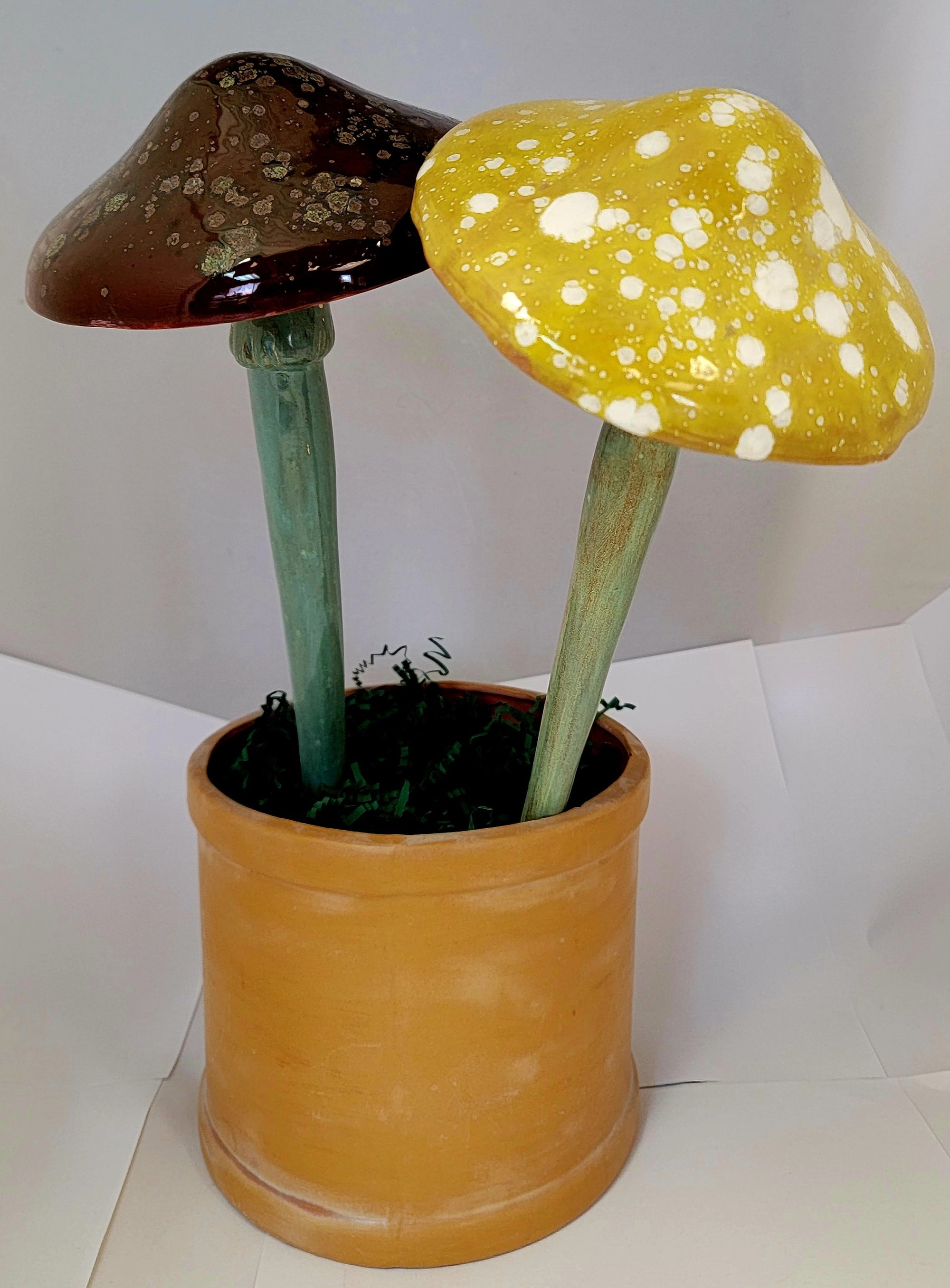 Assorted Mushrooms - Set of 2