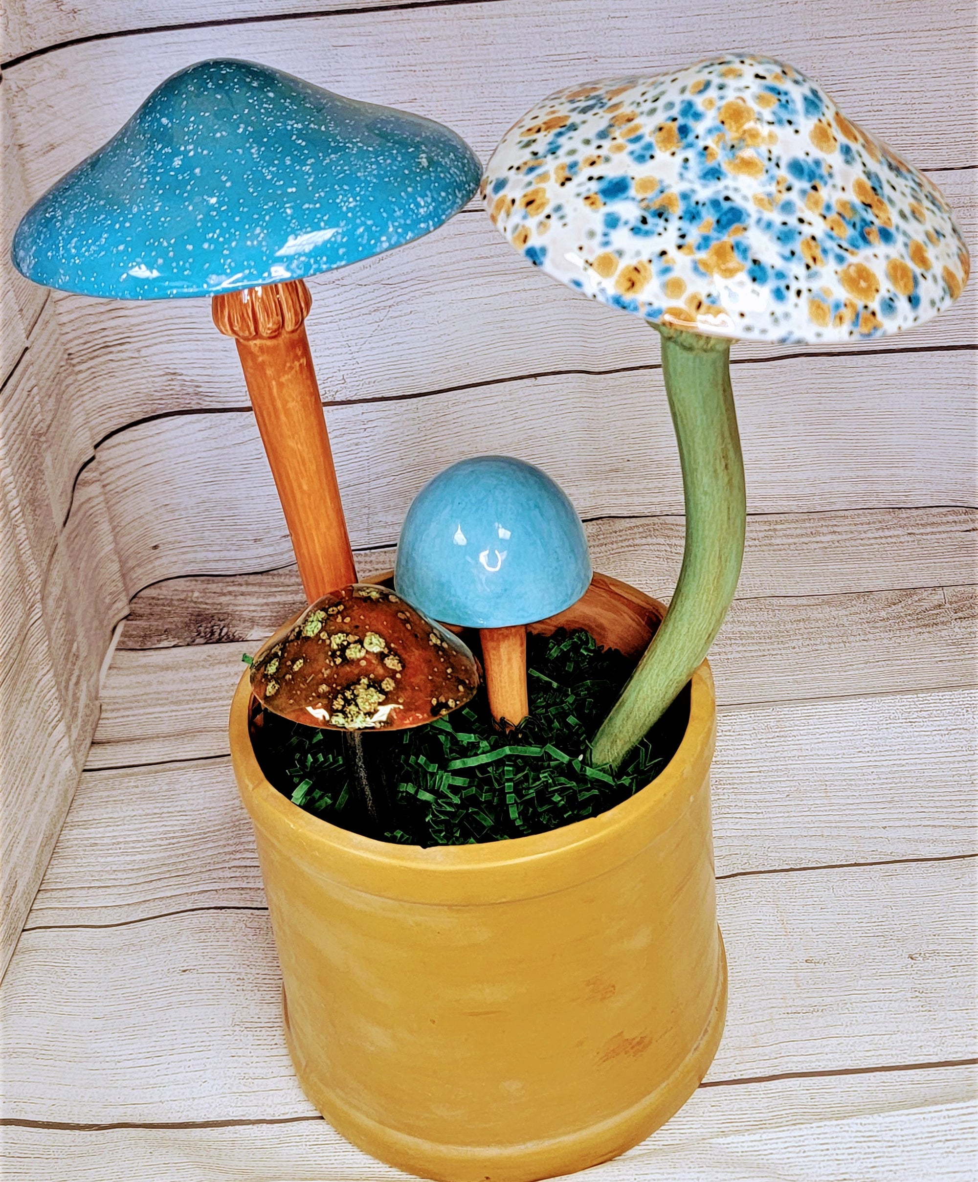 Assorted Mushrooms and Stems - Set of 4