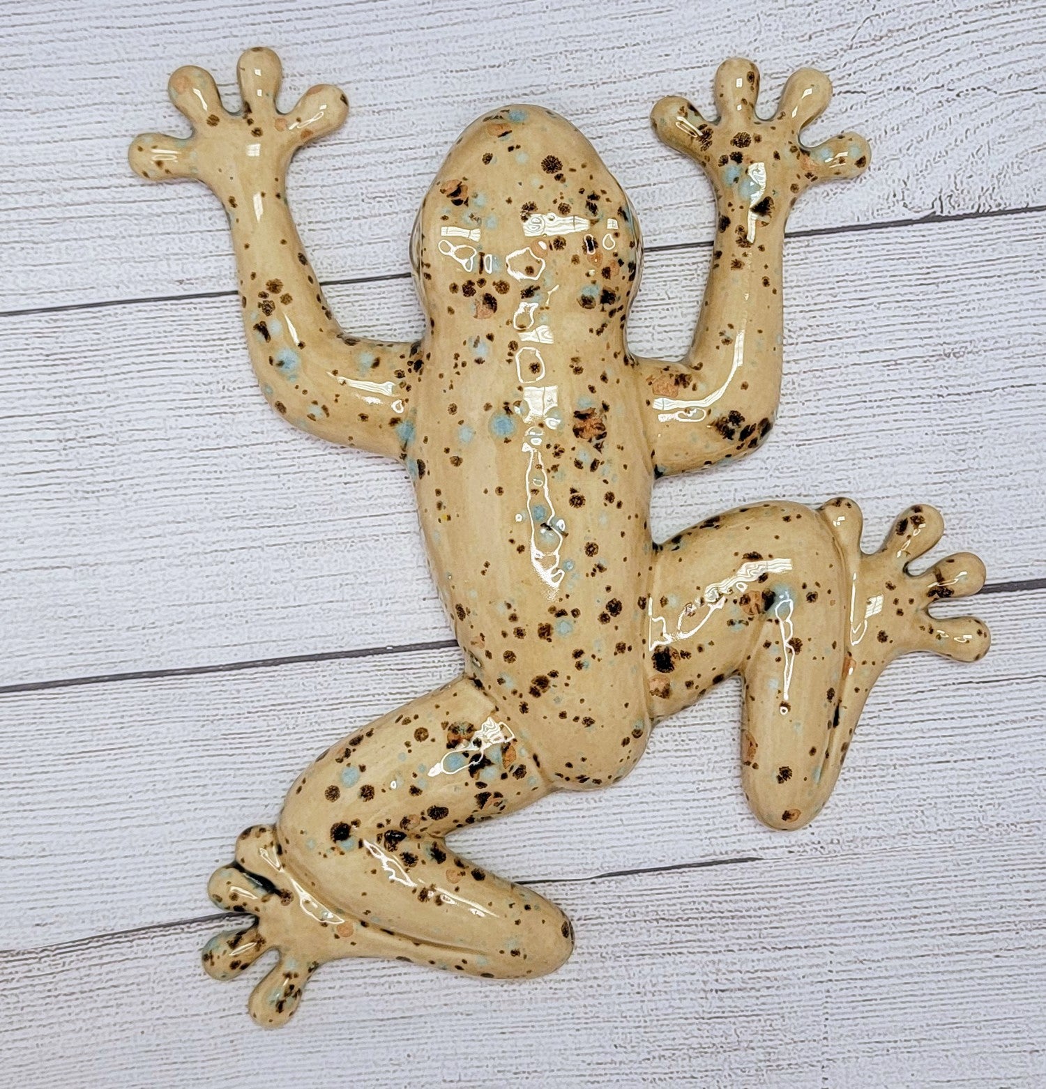 Ceramic Frog Style Wall Climber - Large